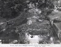 Photo only available in the library